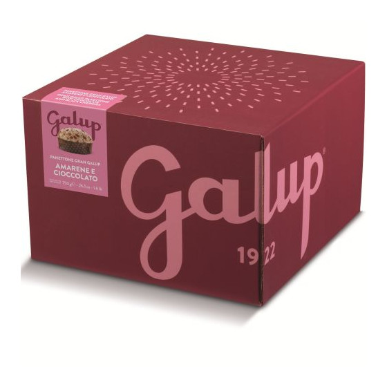 GALUP Panettone pyragas su...